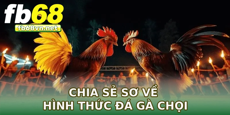 Chia sẻ sơ về hình thức đá gà chọi