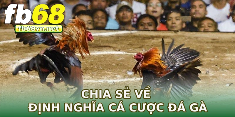 Chia sẻ về định nghĩa cá cược đá gà