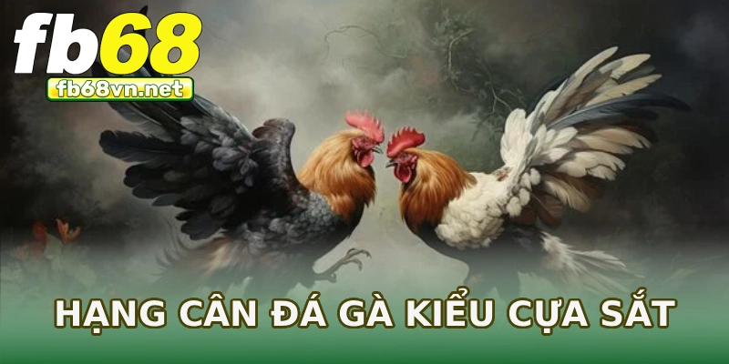 Hạng cân đá gà kiểu cựa sắt